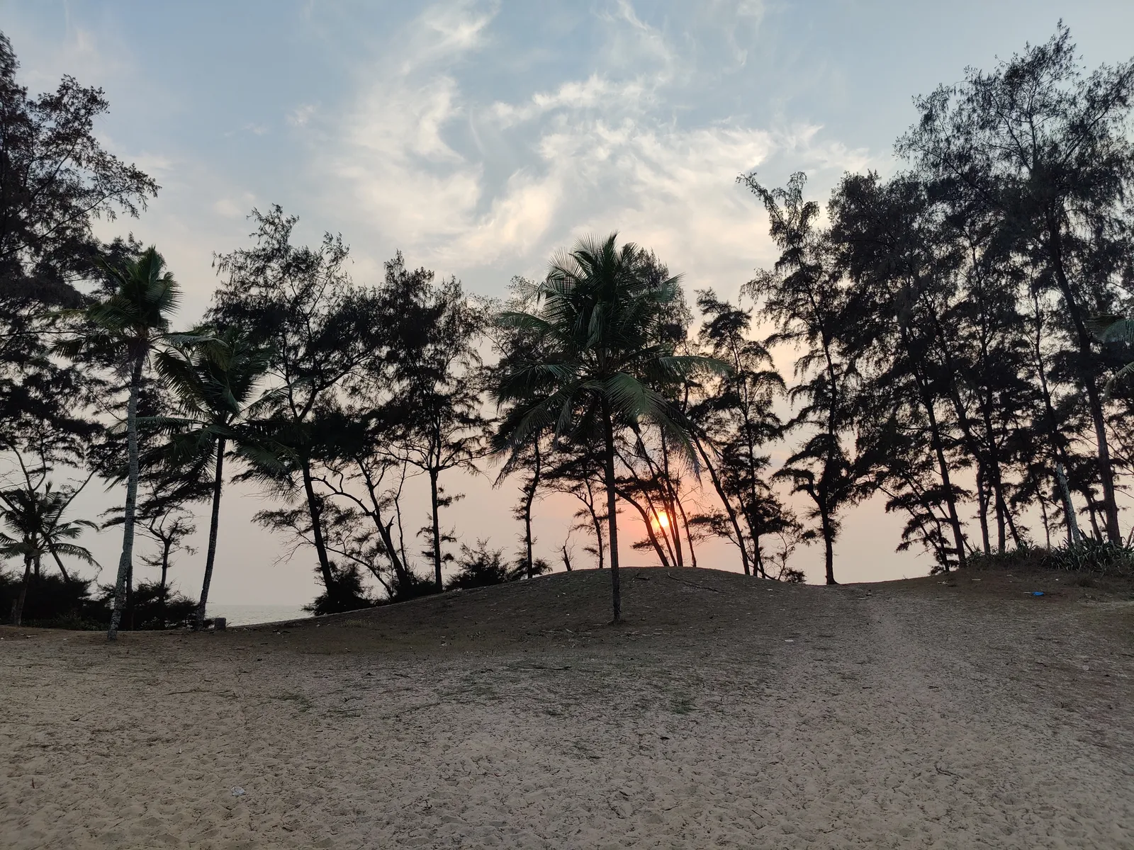 Photograph, 17 Mar 2021