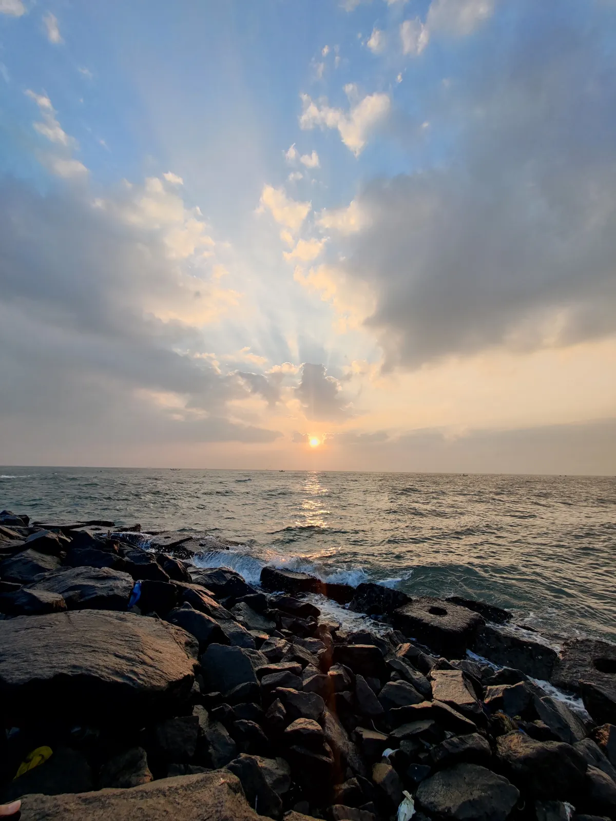 Photograph, 26 Jan 2021