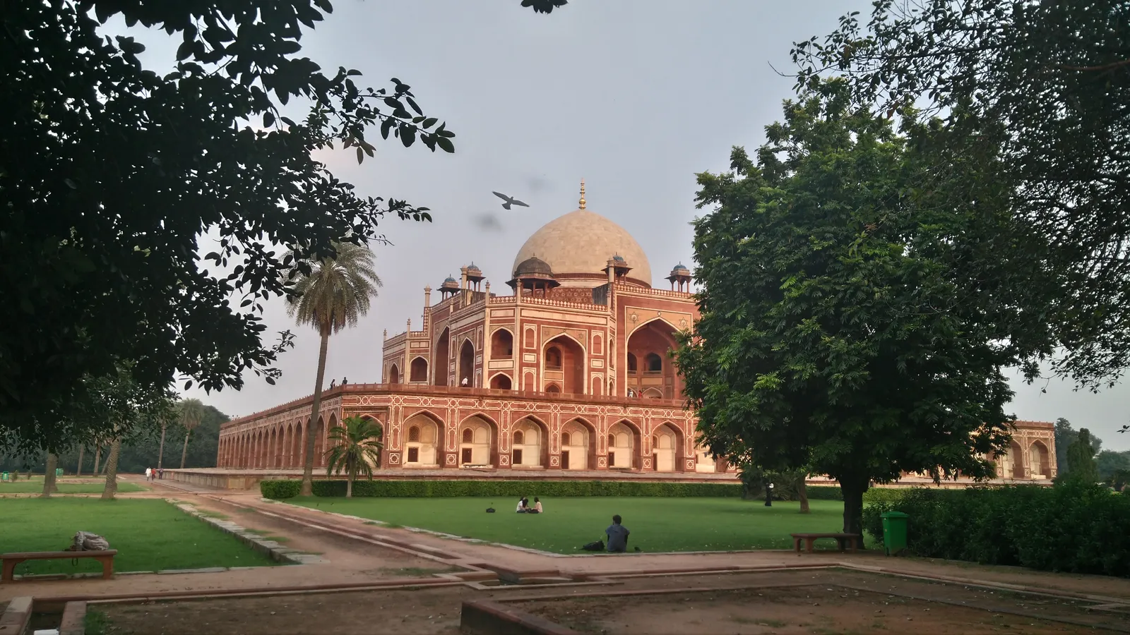 Photograph, 9 Sept 2017