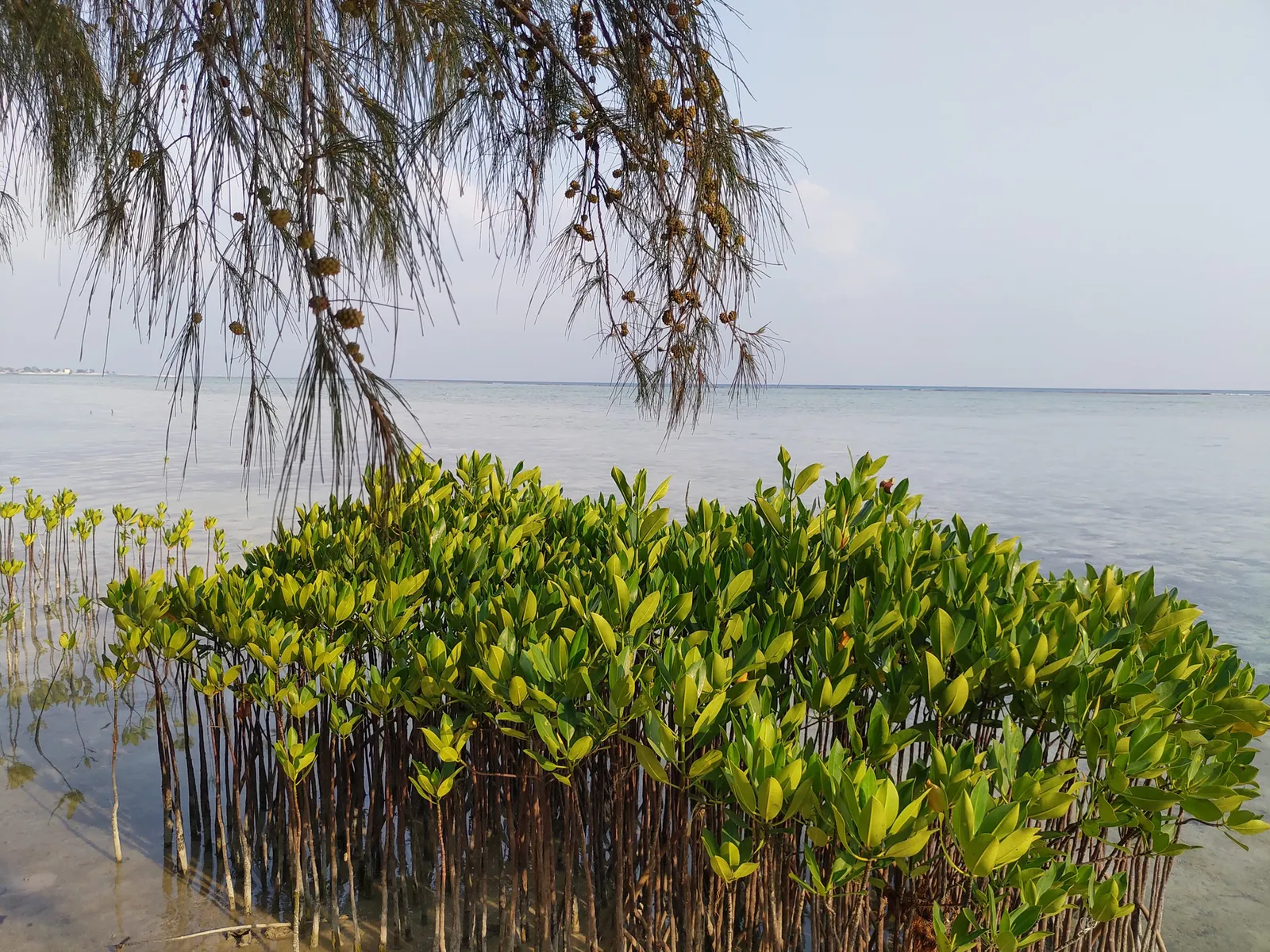 Photograph, 22 Sept 2019