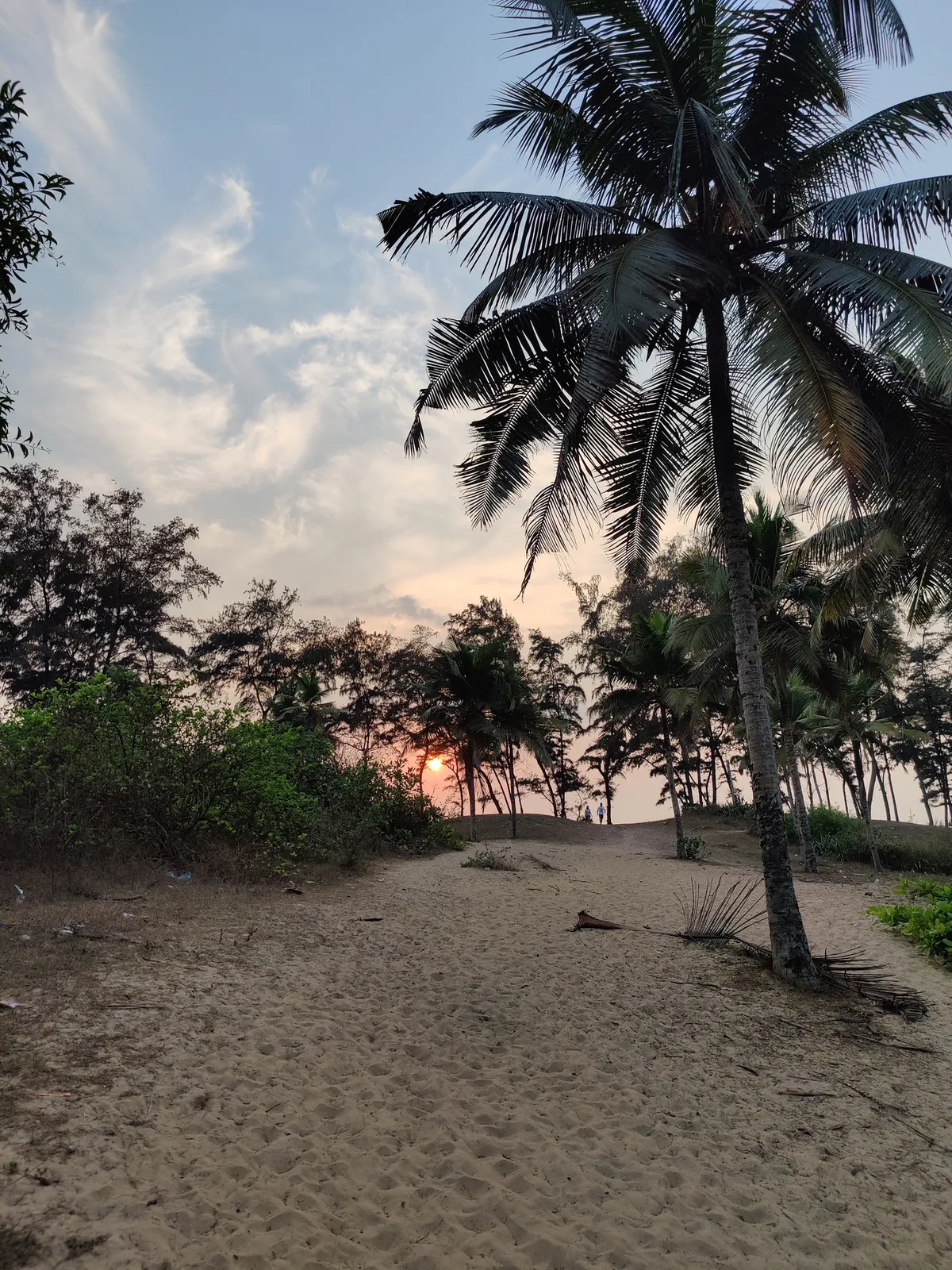 Photograph, 17 Mar 2021