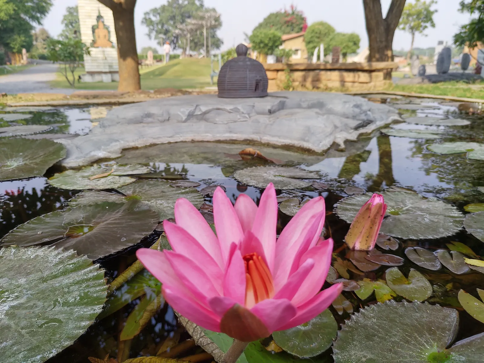 Photograph, 6 Dec 2019