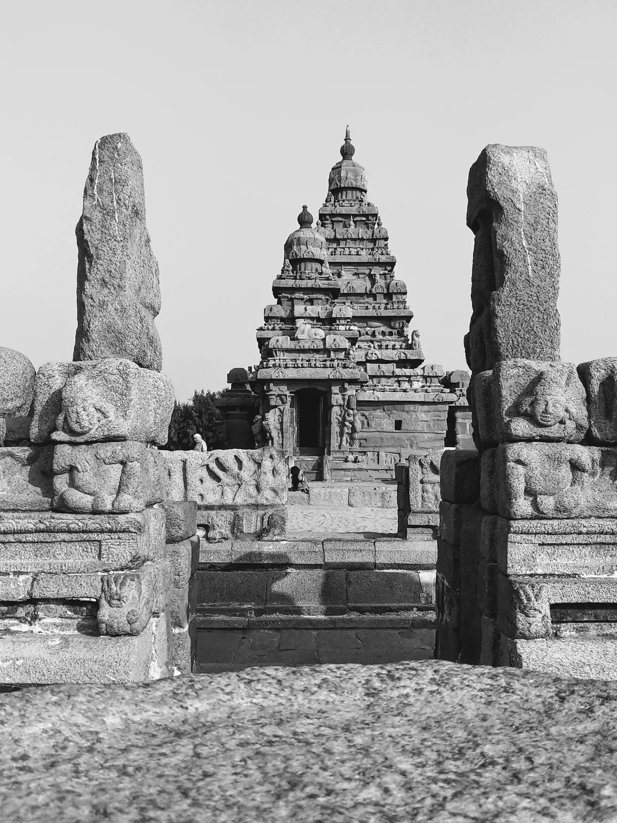 Photograph, 22 Jan 2019