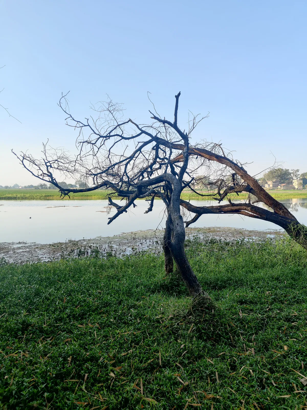 Photograph, 6 Mar 2022