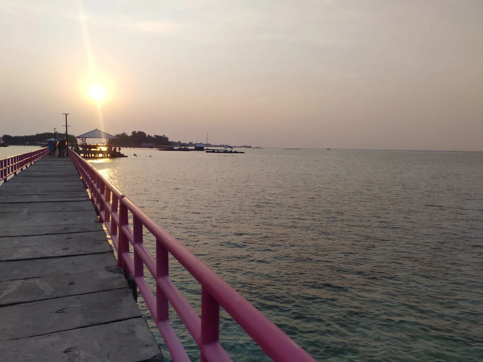 Photograph, 21 Sept 2019