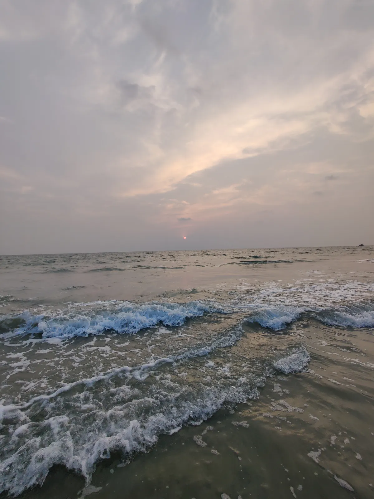 Photograph, 17 Mar 2021