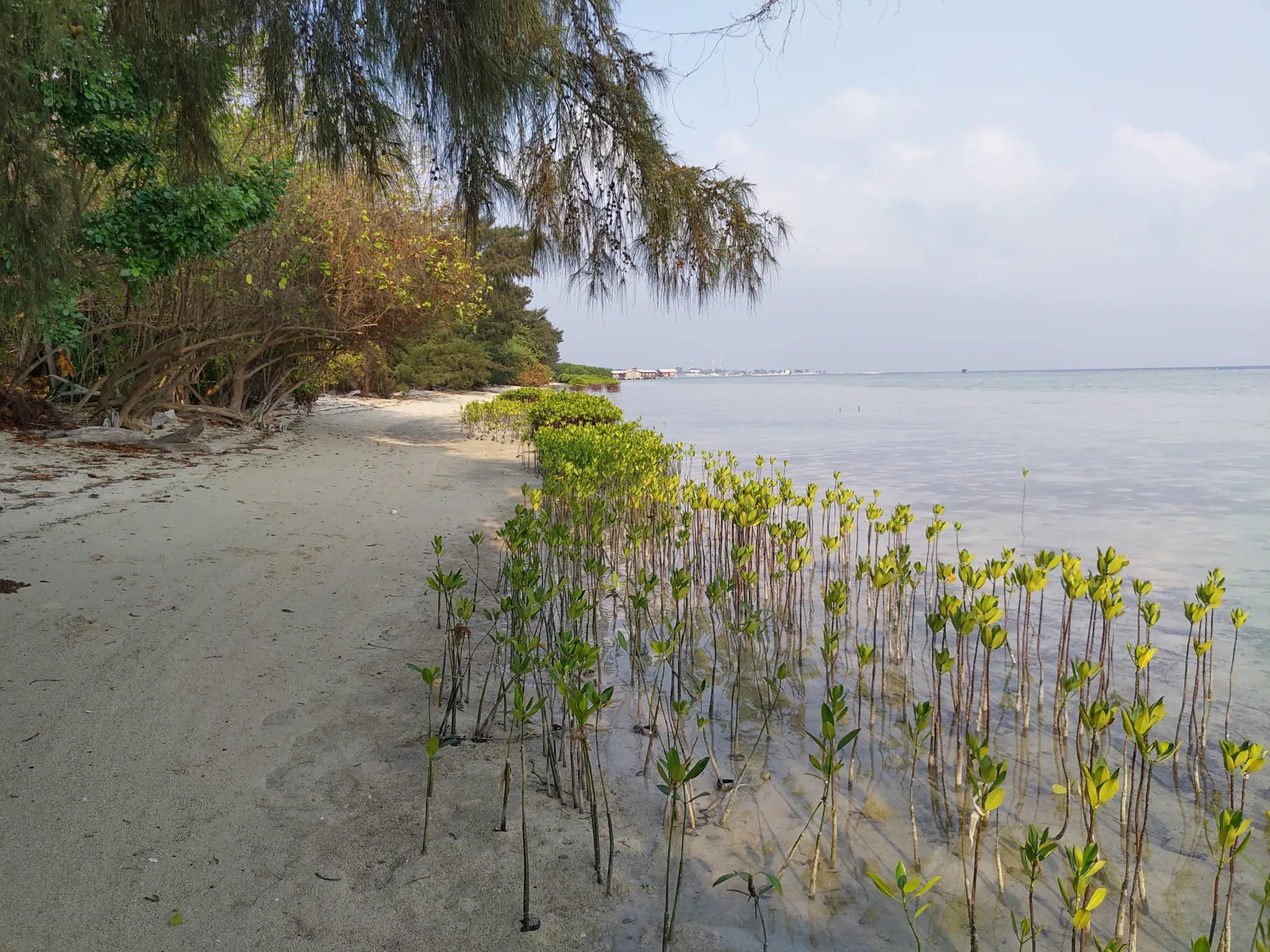 Photograph, 22 Sept 2019