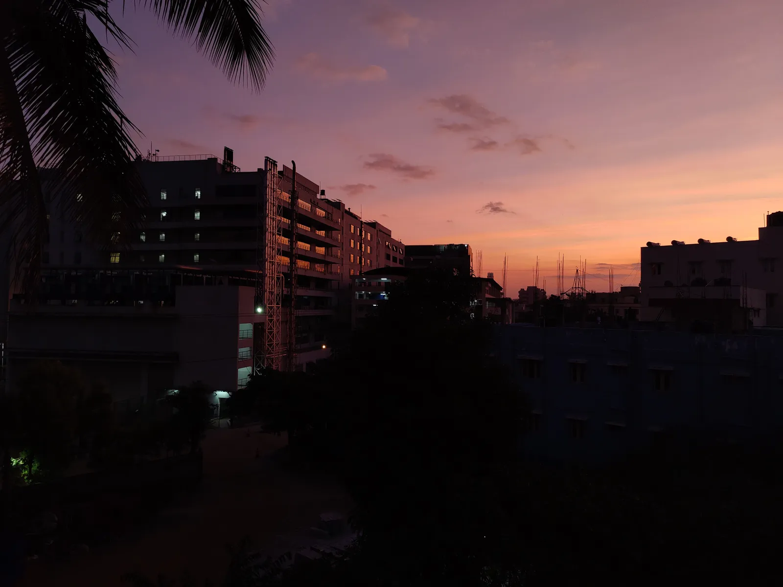 Photograph, 15 Jan 2022
